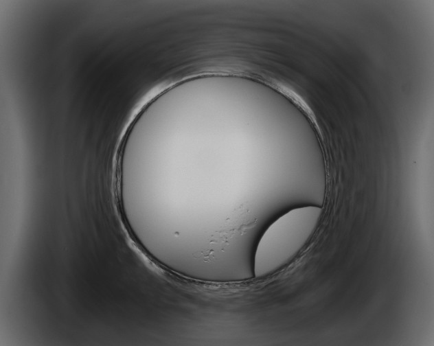 X0000086011103200703230905