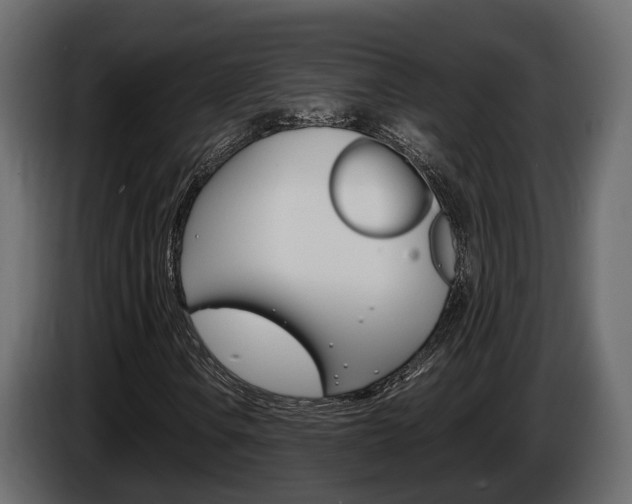 X0000086011106200703230905