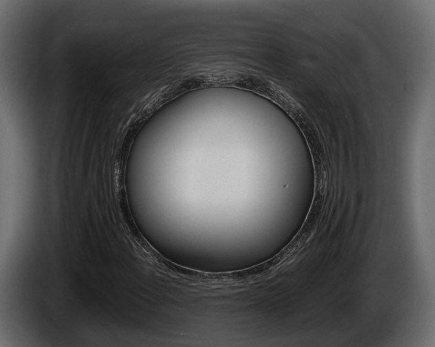 X0000086011108200703230905