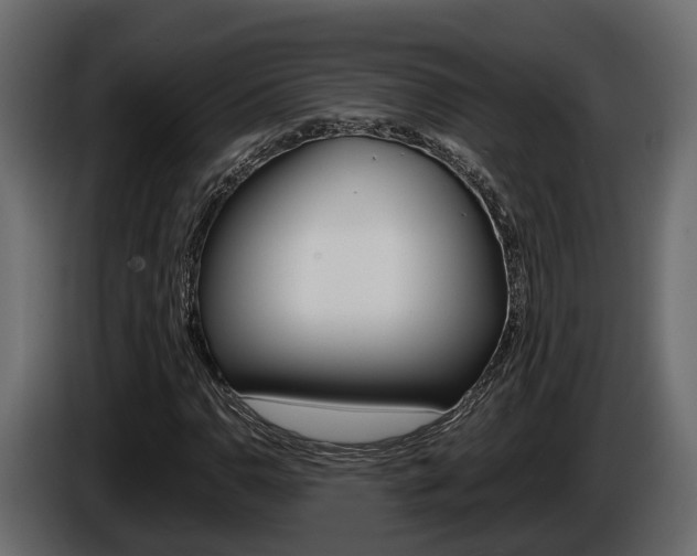 X0000086011110200703230905
