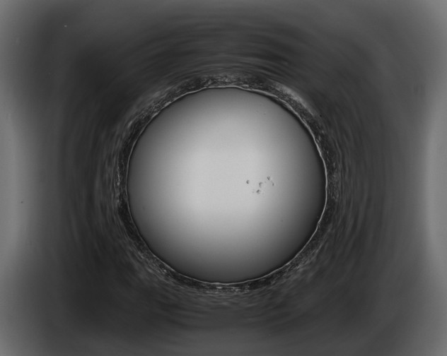 X0000086011111200703230905