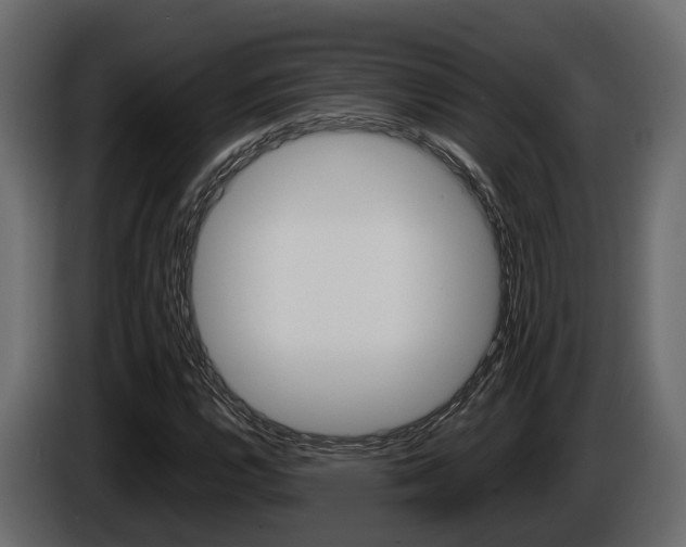 X0000086011112200703230905