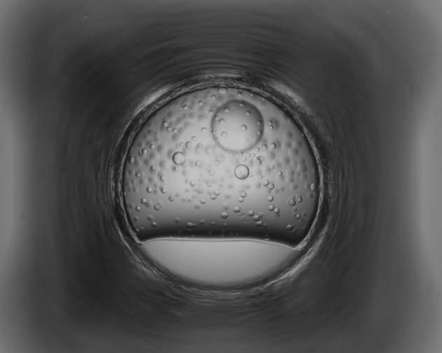 X0000086011113200703230905