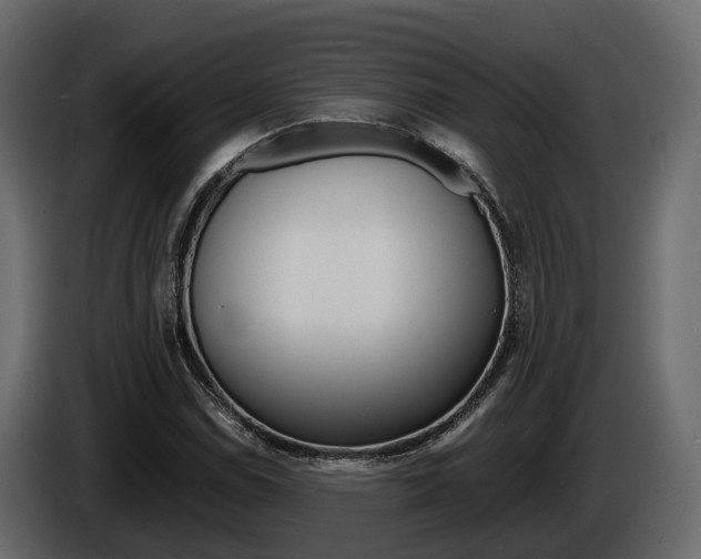 X0000086011114200703230905
