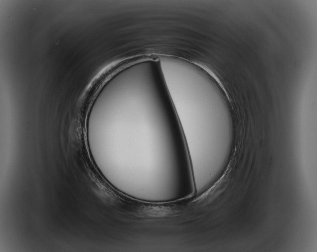 X0000086011115200703230905