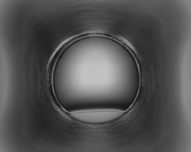 X0000086011116200703230905