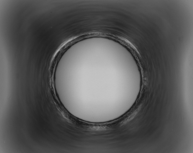 X0000086011117200703230905