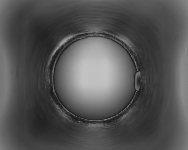 X0000086011118200703230905