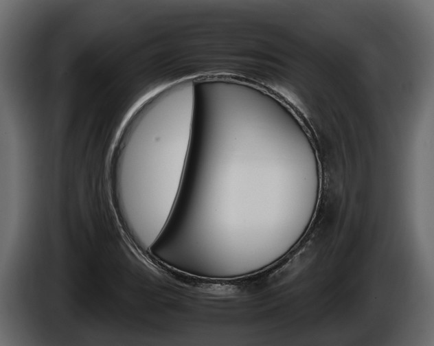 X0000086011119200703230905