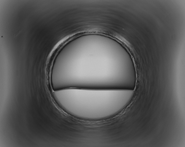 X0000086011120200703230905