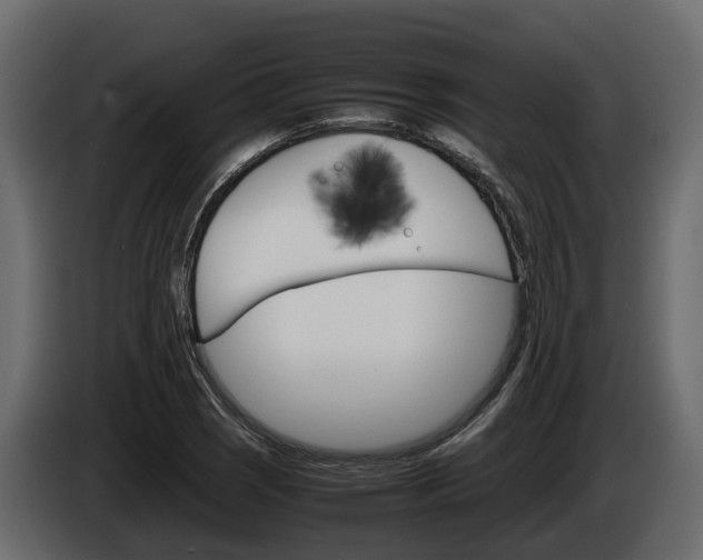 X0000086011121200703230905