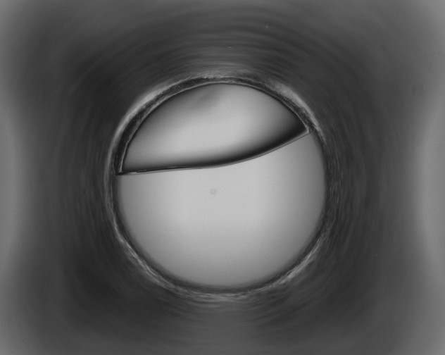 X0000086011122200703230905