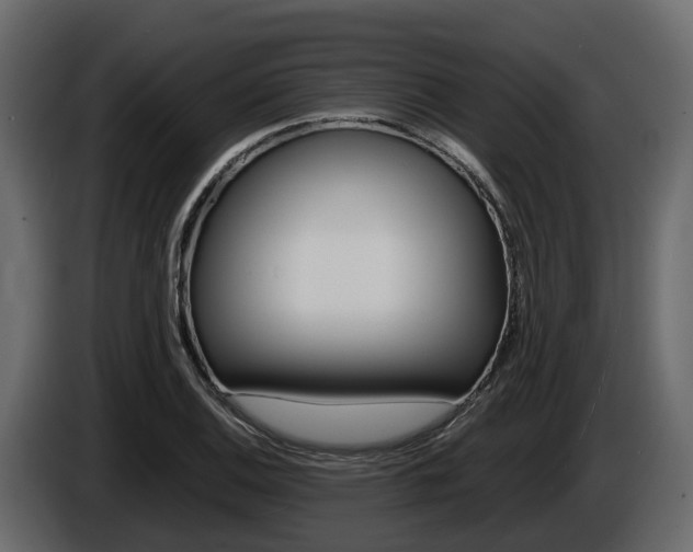 X0000086011124200703230905