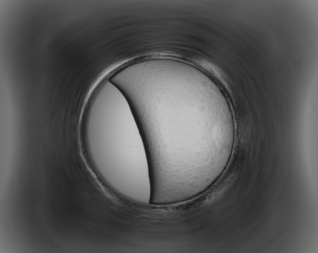 X0000086011125200703230905
