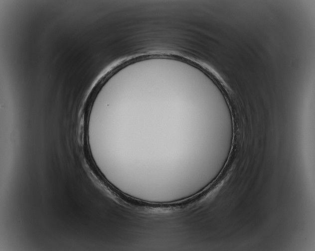 X0000086011126200703230905