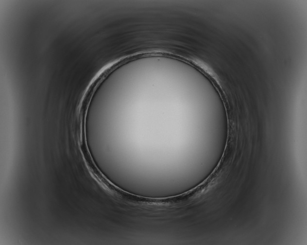 X0000086011127200703230905