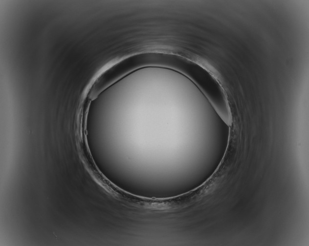 X0000086011128200703230905