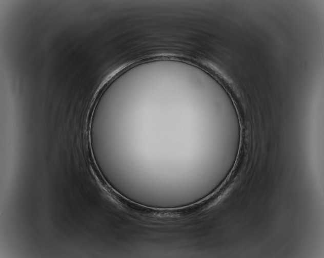 X0000086011129200703230905