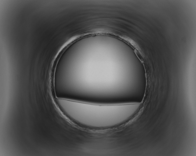 X0000086011134200703230905