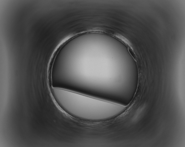 X0000086011135200703230905