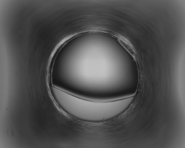 X0000086011136200703230905