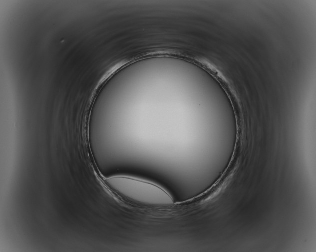 X0000086011137200703230905
