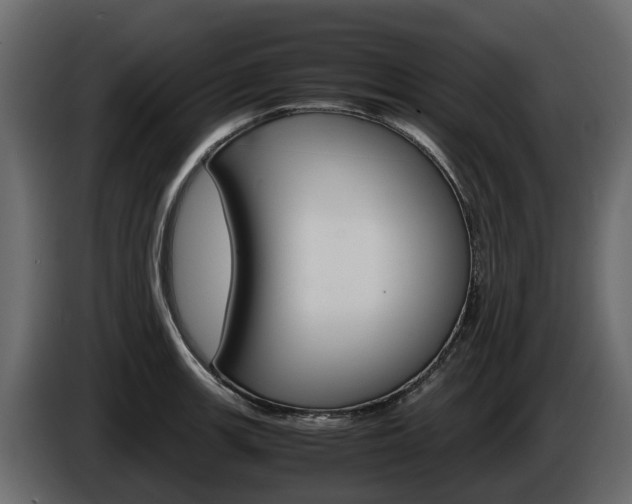 X0000086011139200703230905