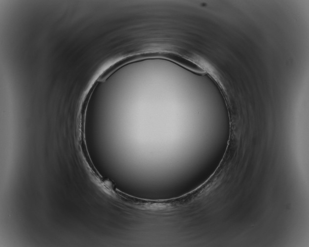 X0000086011140200703230905