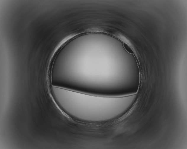 X0000086011141200703230905