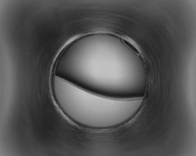 X0000086011142200703230905