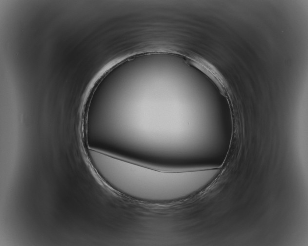 X0000086011144200703230905