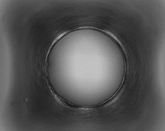 X0000086011145200703230905