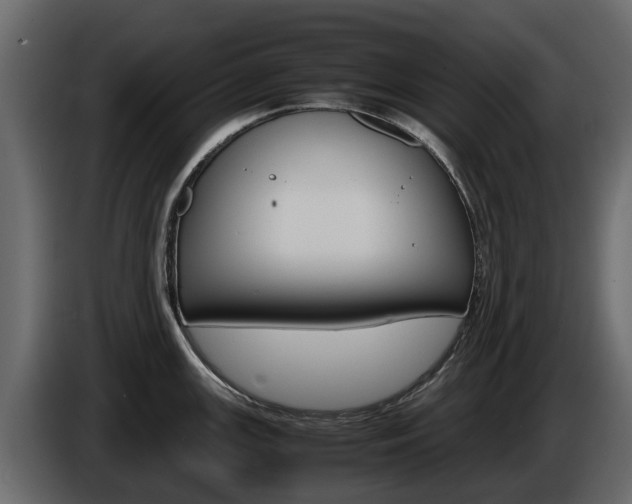 X0000086011147200703230905