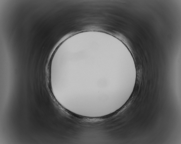 X0000086011150200703230905