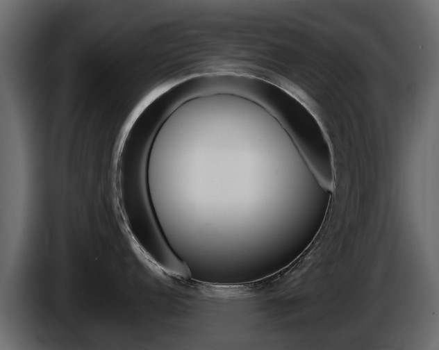 X0000086011152200703230905
