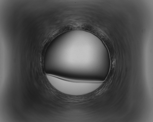 X0000086011156200703230904