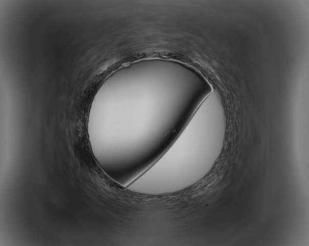 X0000086011159200703230904