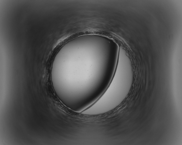 X0000086011160200703230904
