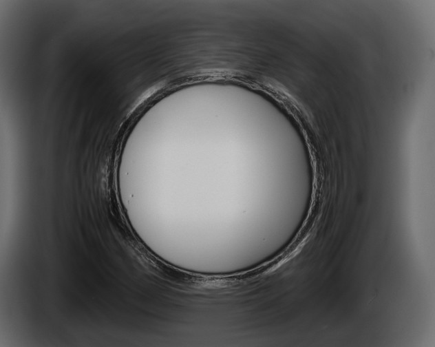 X0000086011162200703230904