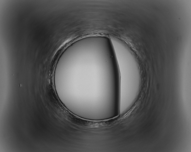X0000086011165200703230904