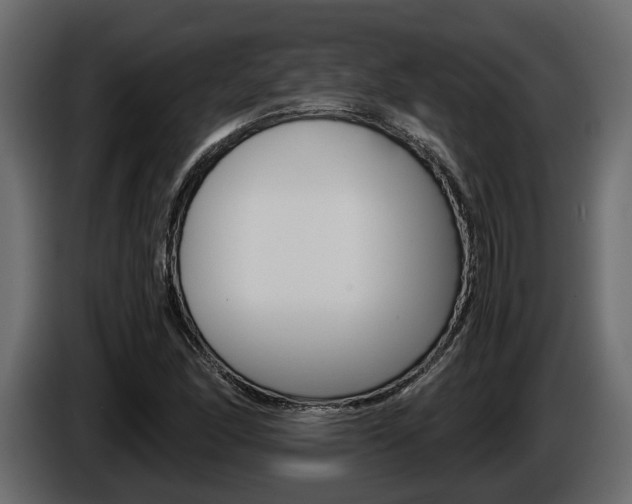 X0000086011166200703230904