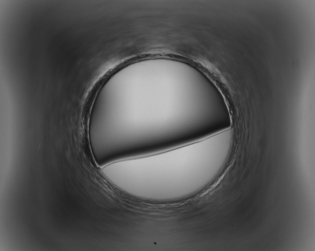 X0000086011167200703230904