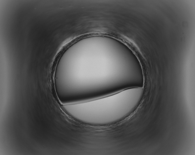 X0000086011168200703230904