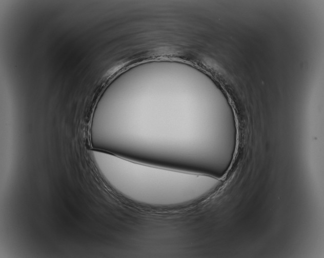 X0000086011169200703230904