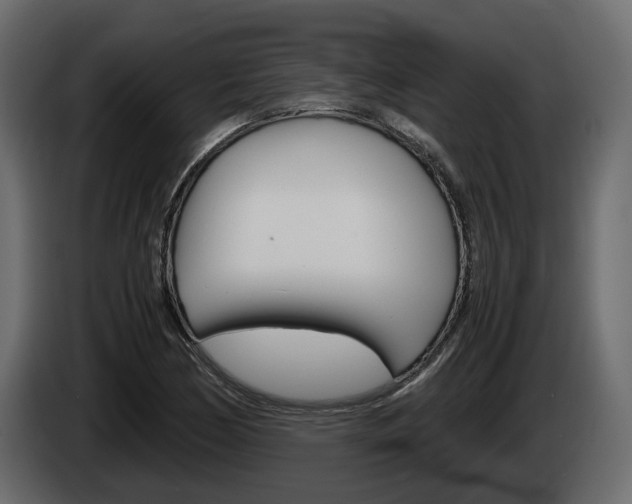 X0000086011170200703230904