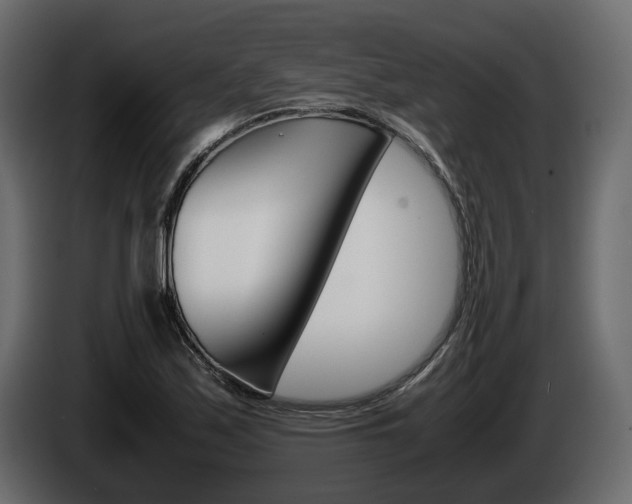 X0000086011171200703230904