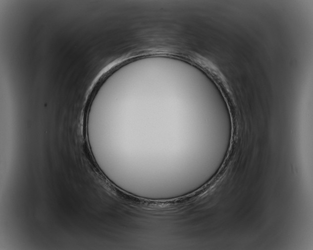 X0000086011174200703230904