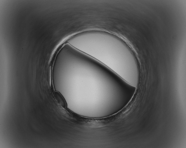 X0000086011175200703230904