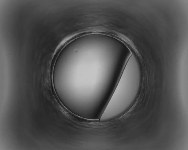 X0000086011176200703230904