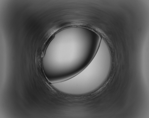 X0000086011177200703230904